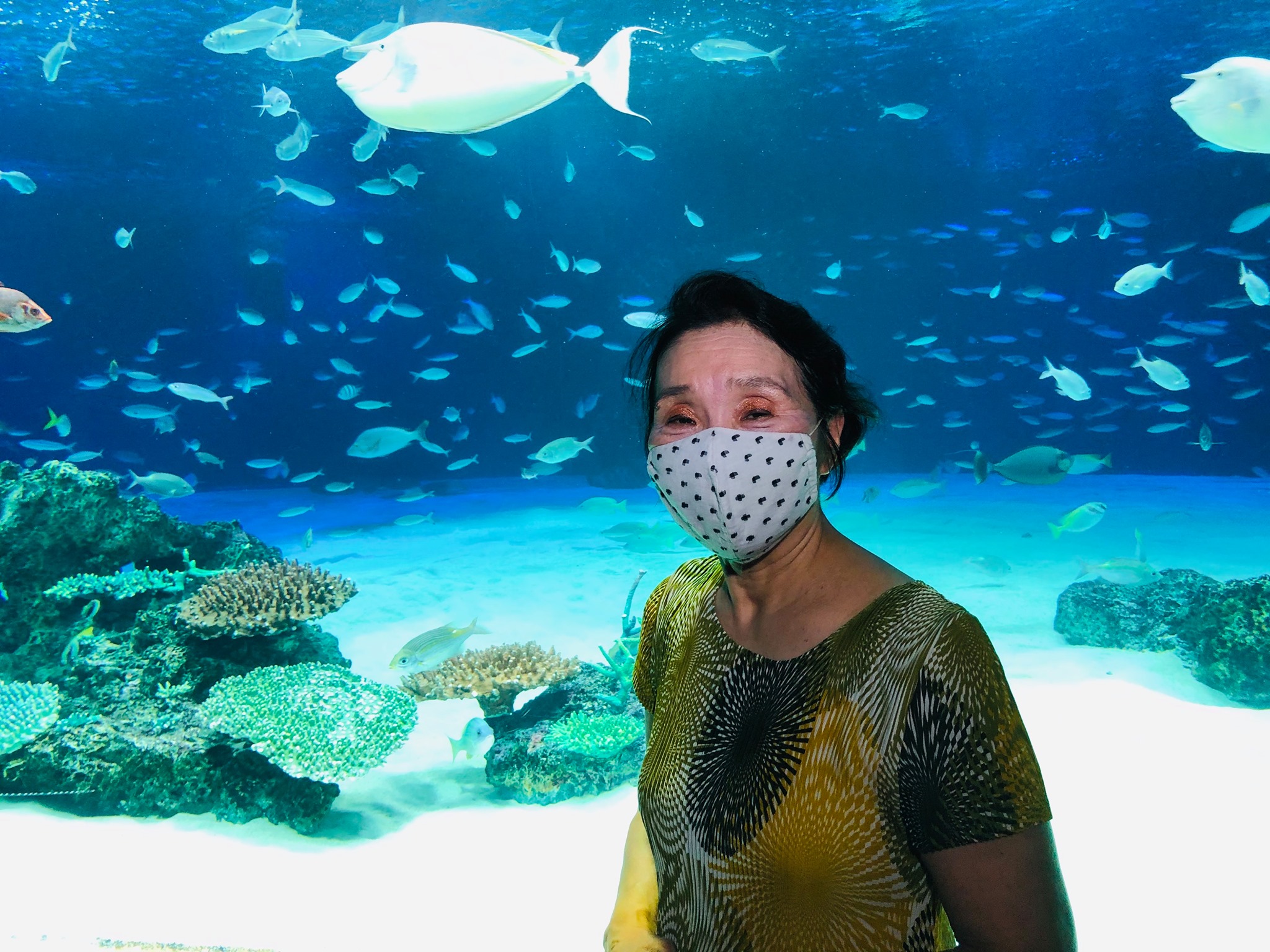 水族館 サンシャイン