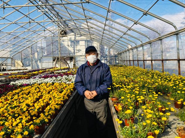 三鷹市野崎の花卉農家・吉野隆行さんを訪問しました。